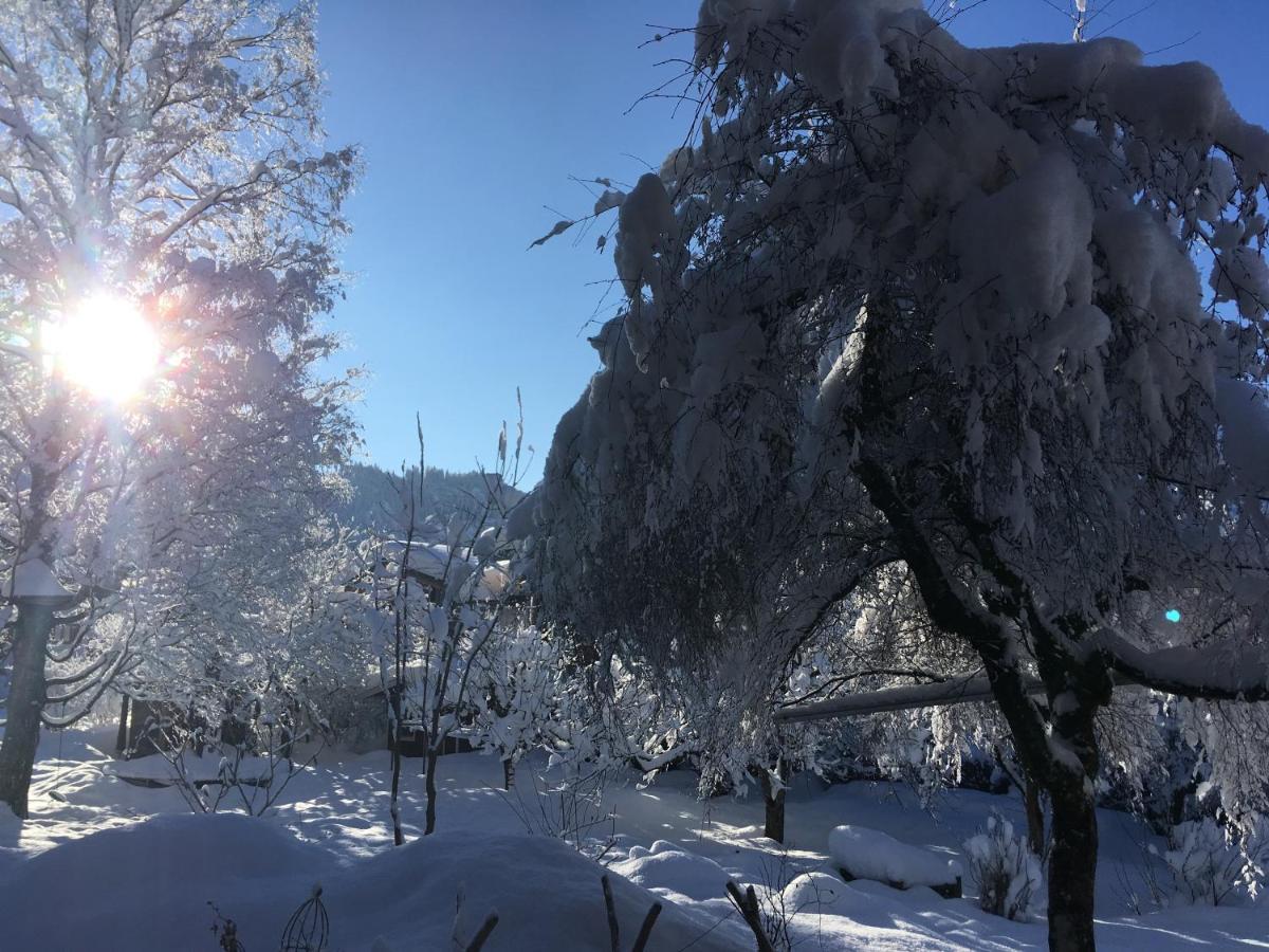 Appartamento Haus Sonnenruh Bad Hindelang Esterno foto