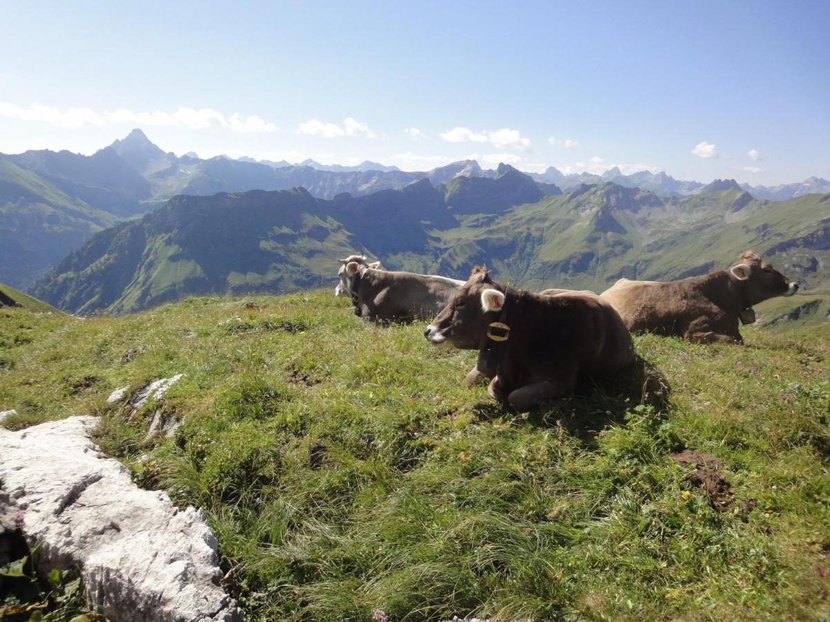 Appartamento Haus Sonnenruh Bad Hindelang Esterno foto