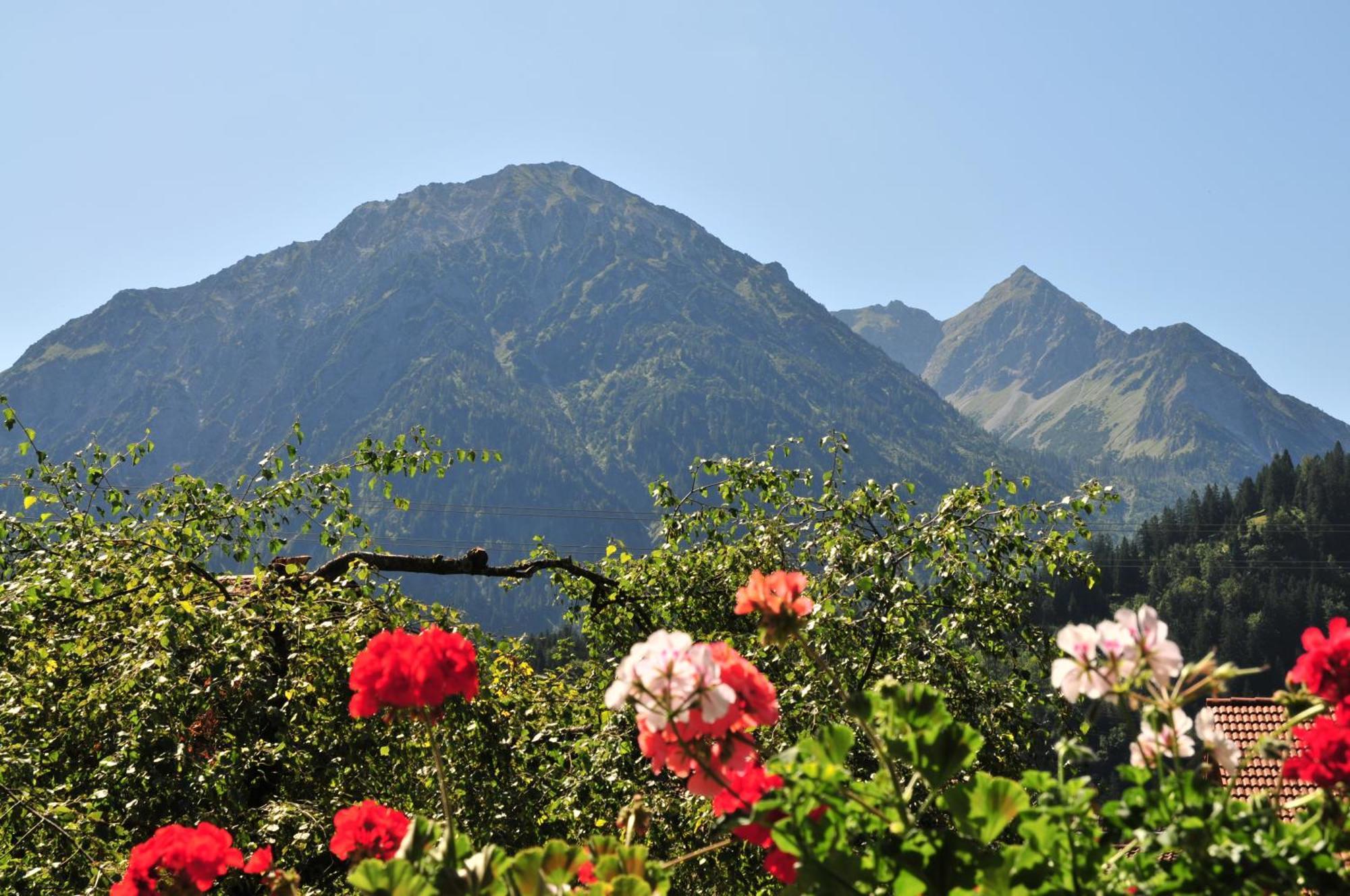 Appartamento Haus Sonnenruh Bad Hindelang Esterno foto