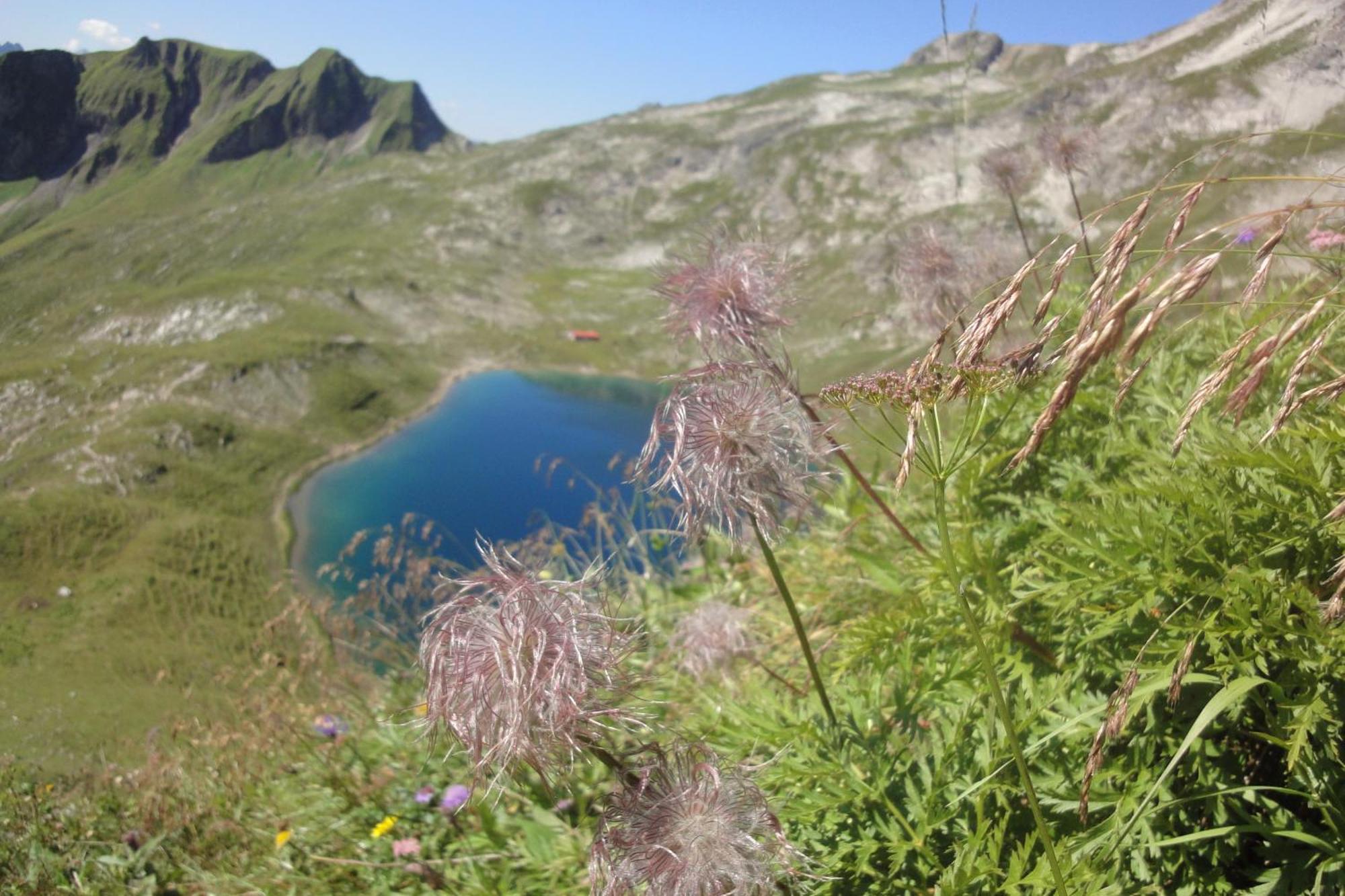 Appartamento Haus Sonnenruh Bad Hindelang Esterno foto