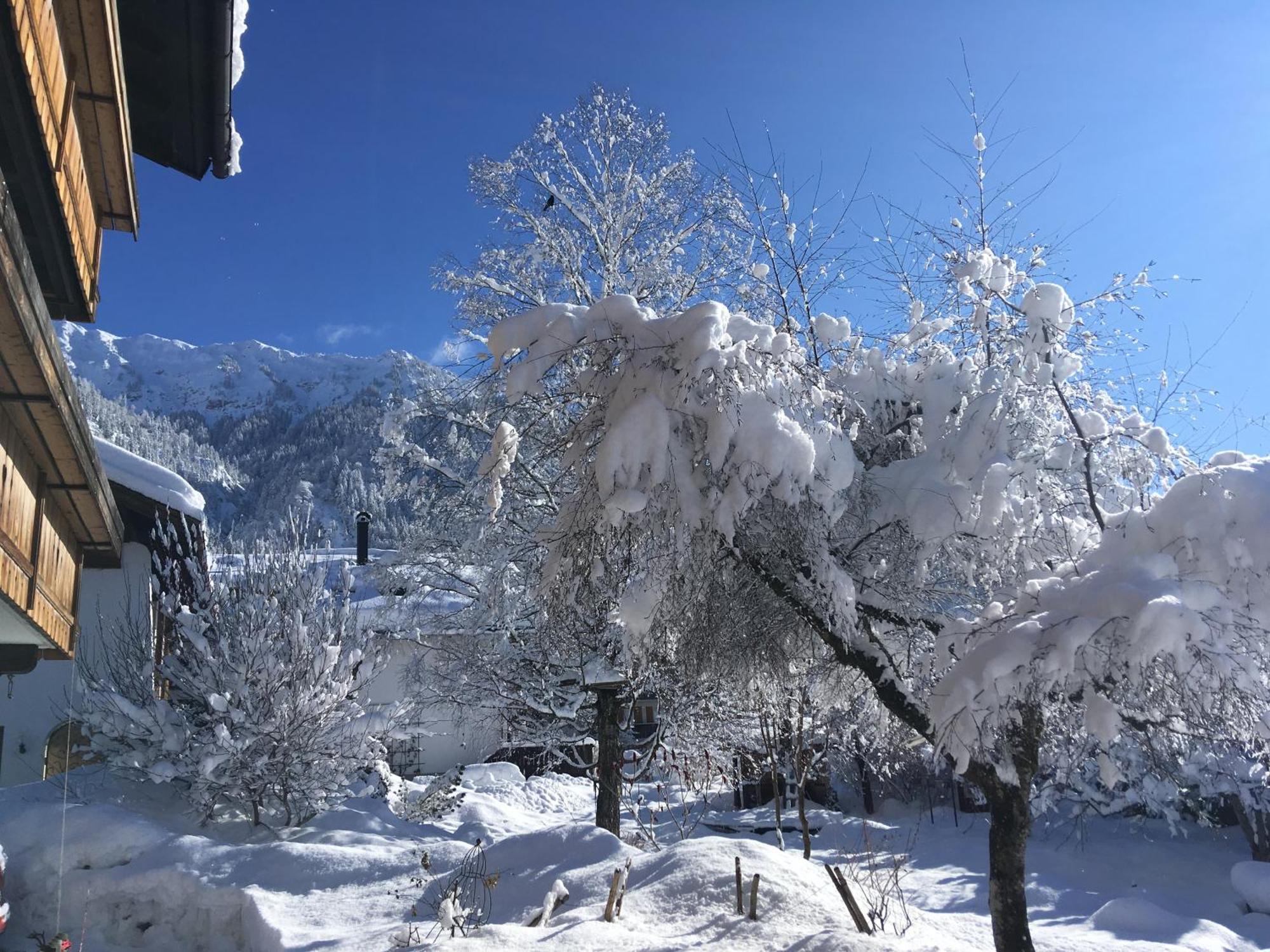 Appartamento Haus Sonnenruh Bad Hindelang Esterno foto