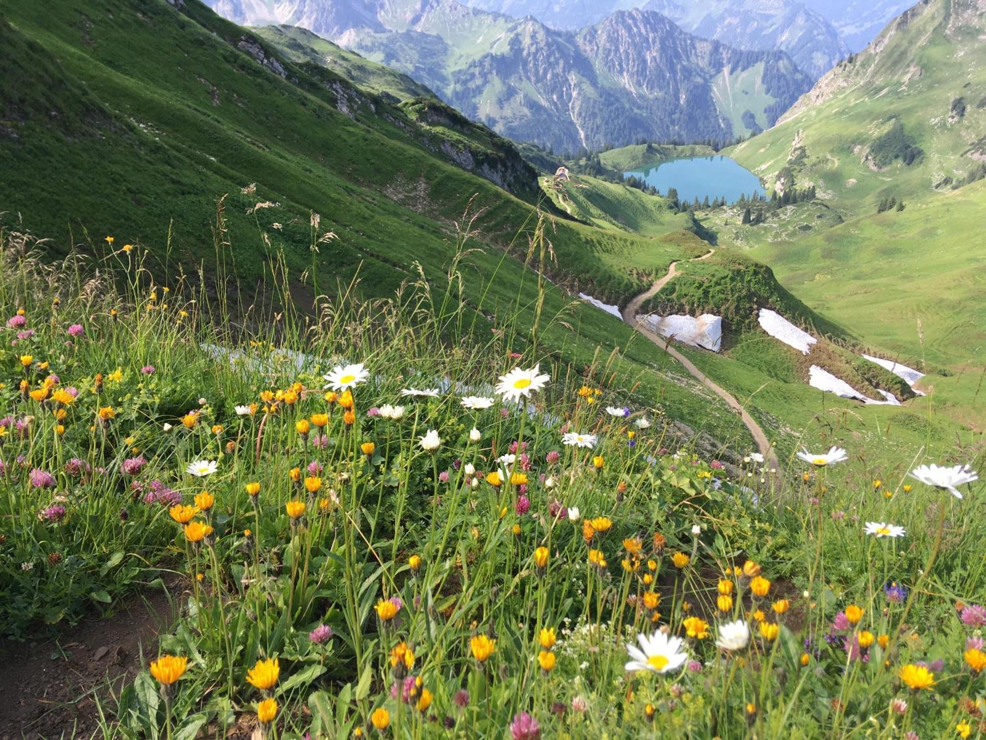 Appartamento Haus Sonnenruh Bad Hindelang Esterno foto