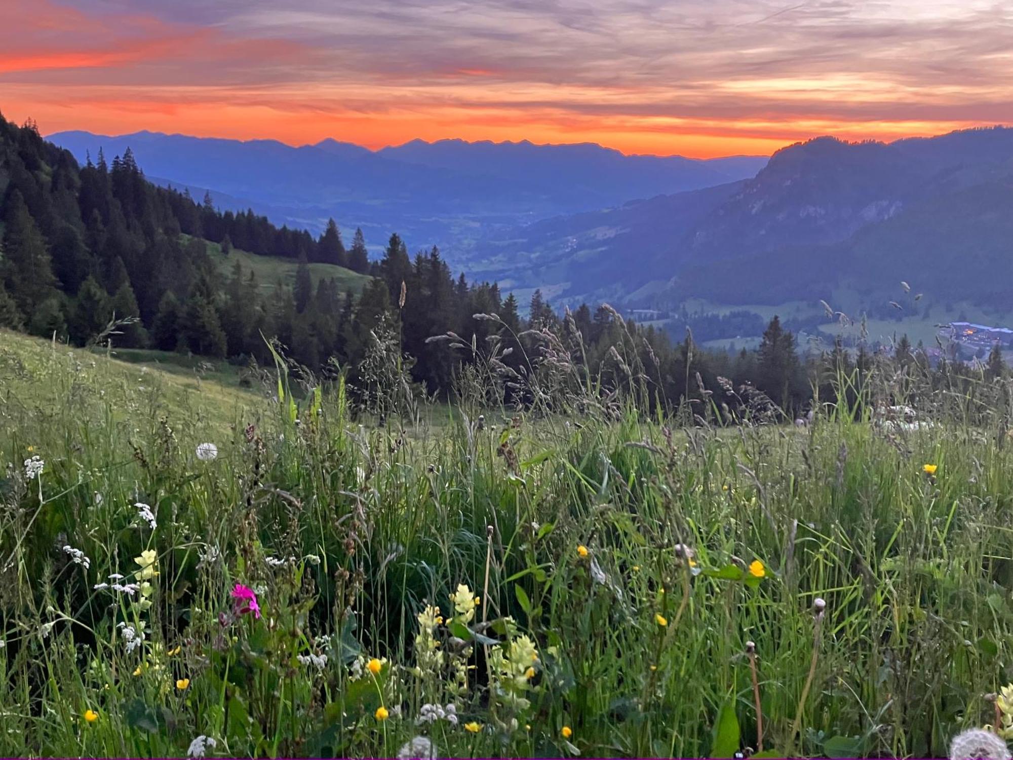 Appartamento Haus Sonnenruh Bad Hindelang Esterno foto