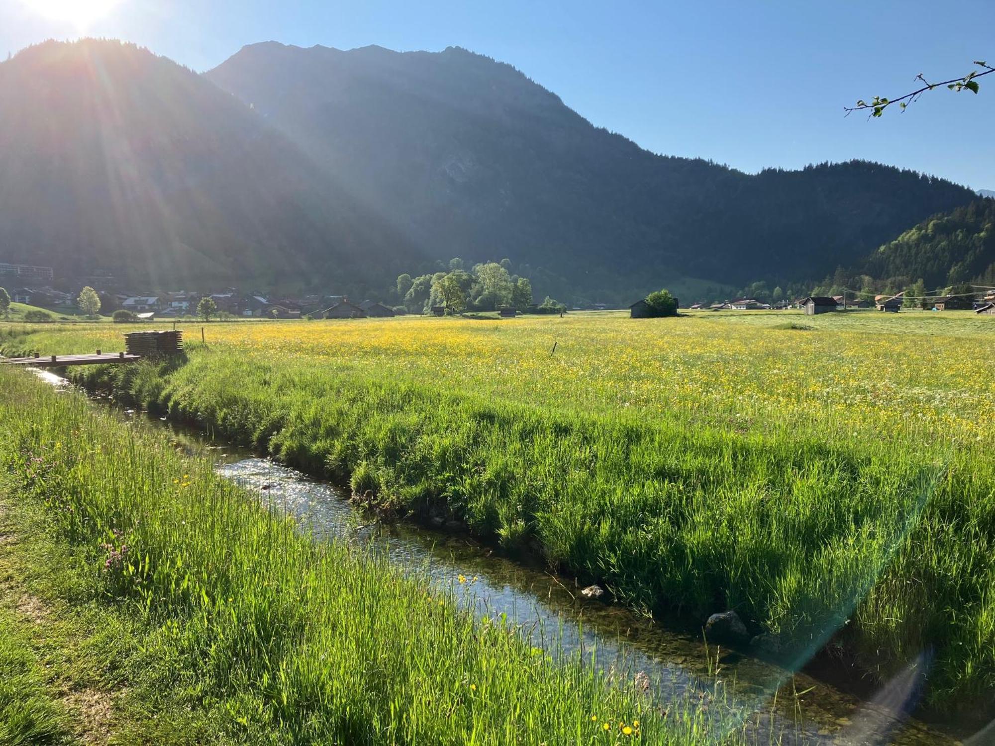 Appartamento Haus Sonnenruh Bad Hindelang Esterno foto